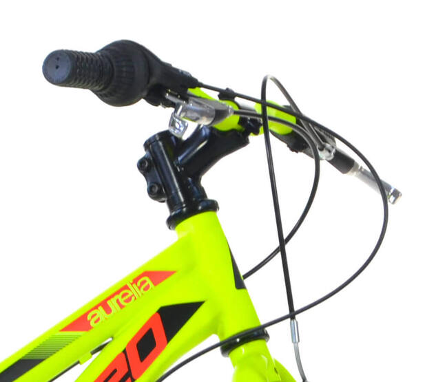 Dino Bikes - Detský bicykel 20" 420UP - AURELIA plus green