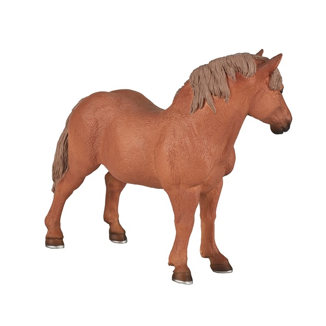 Mojo Suffolk punch kobyla