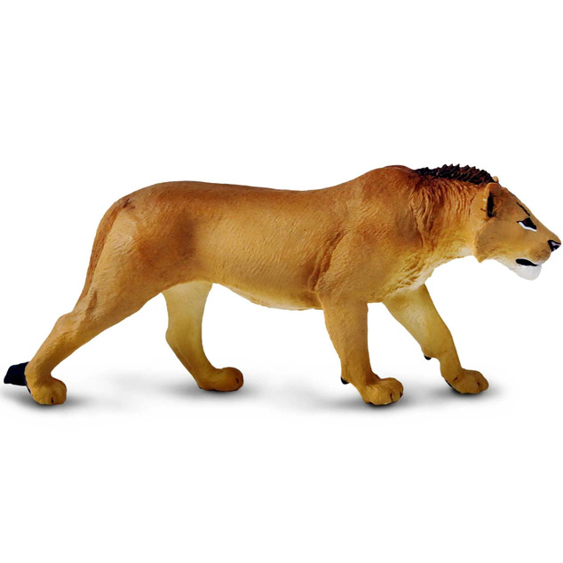 Safari® Dospievajúci lev
