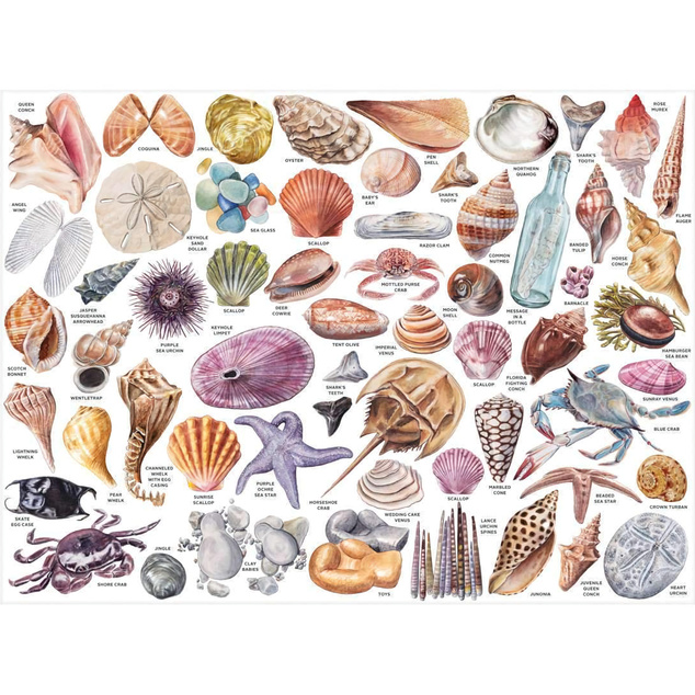 Galison Puzzle Aus dem Handbuch des Strandbummels 1000 Teile
