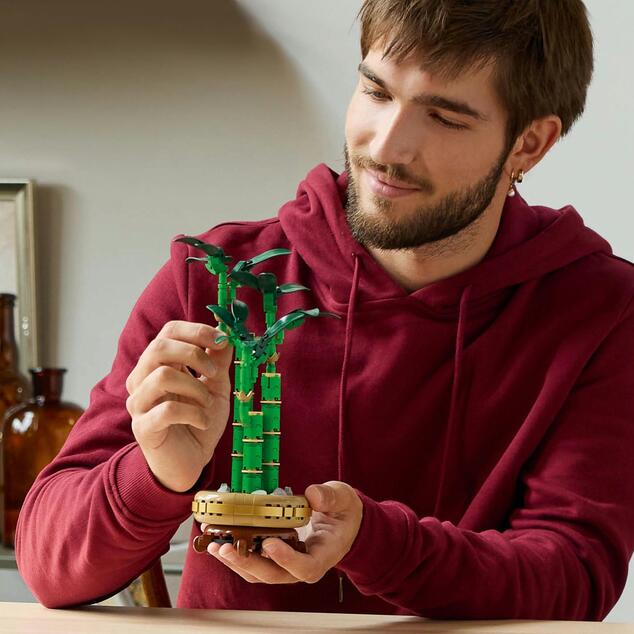 LEGO® Botanicals 10344 Bambus šťastia