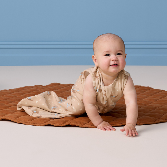 ERGOPOUCH Schlafsack aus Bio-Baumwolle Jersey Melody 8-24m, 8-14kg, 1,0tog