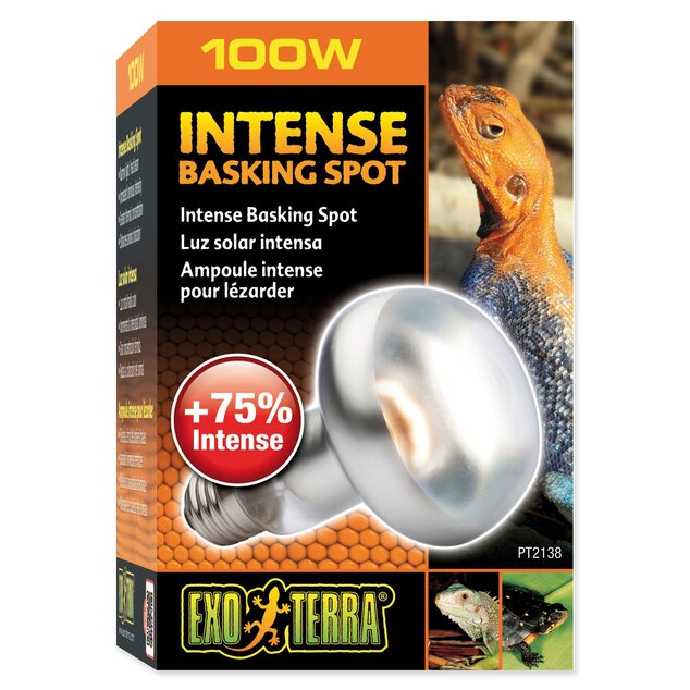 Žiarovka Exo Terra Intense Basking Spot 100W