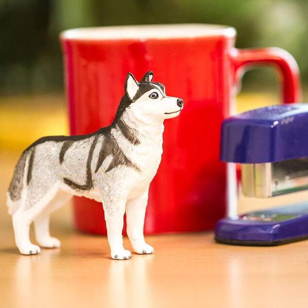 Safari® Sibírsky husky