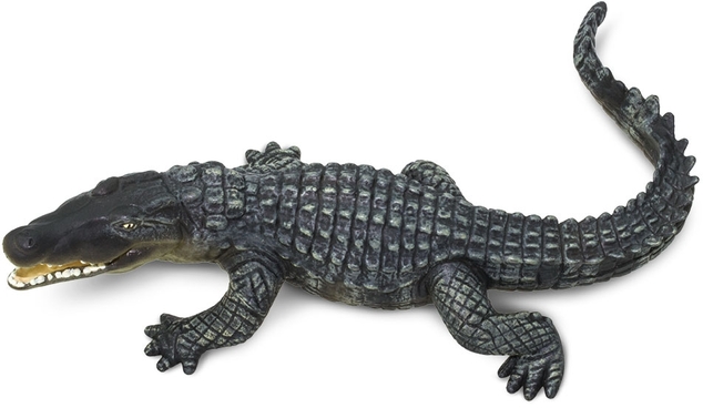 Safari® Krokodil