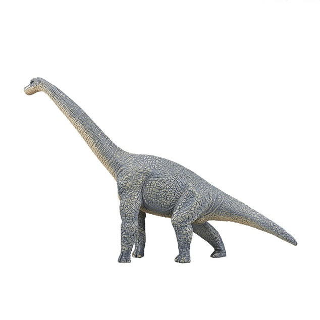 Mein Brachiosaurus