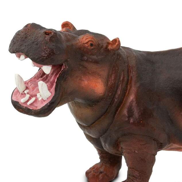 Safari® Hroch obojživelný