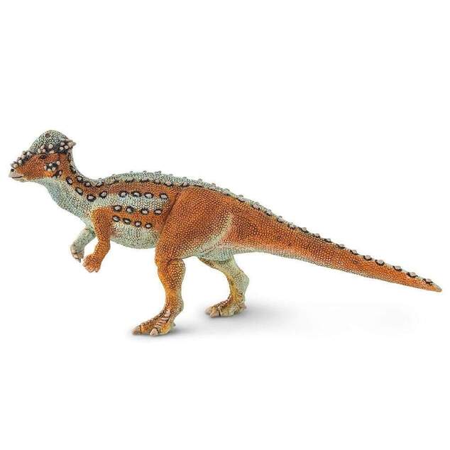 Safari® Pachycephalosaurus dinosaurus