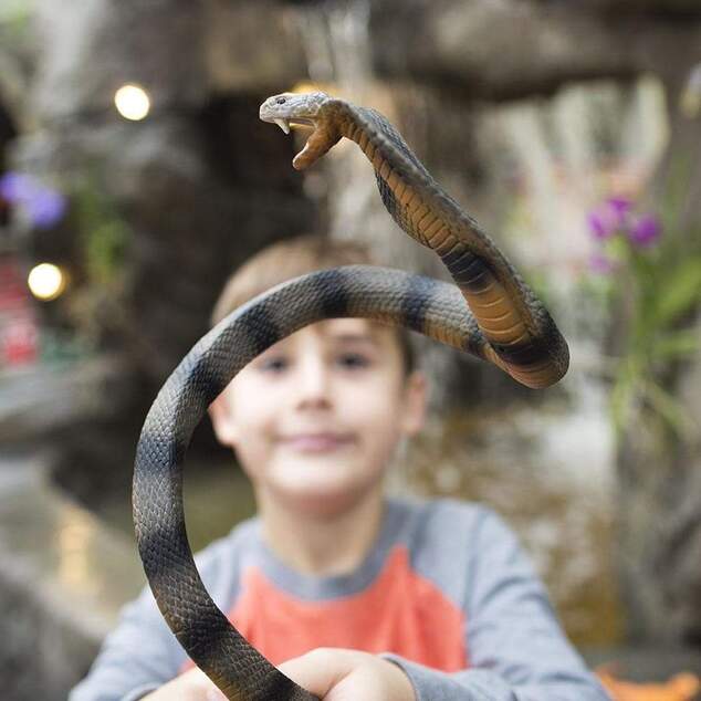 Safari® Cobra