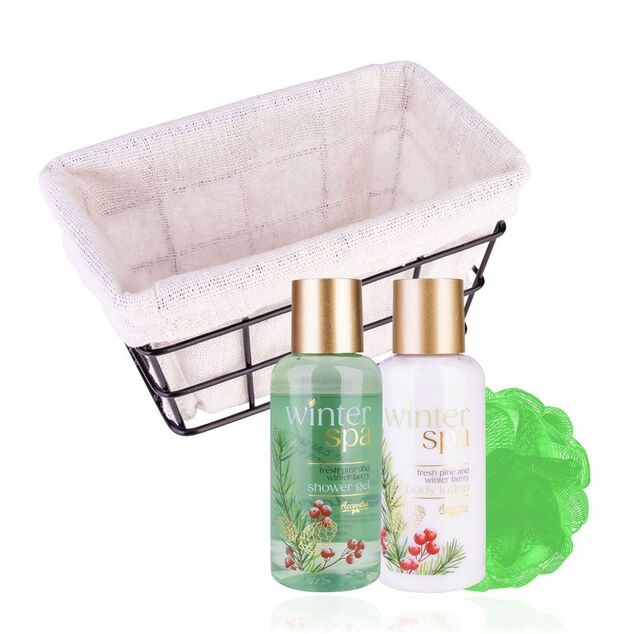 ACCENTRA Set za kupanje Winter Spa u žičanoj košari Zimsko voće 2x 100ml + 1x 10g