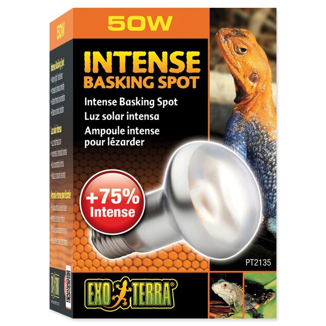 Žiarovka Exo Terra Intense Basking Spot 50W