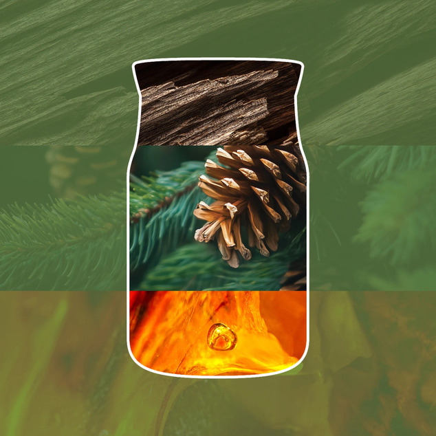 YC Signature Kerze Groß Balsam &amp; Cedar Fireside