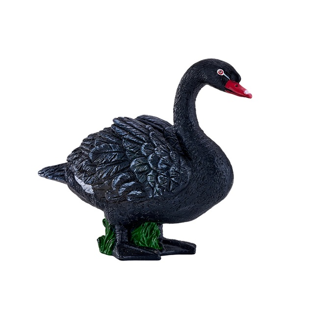 Mojo Cygne noir
