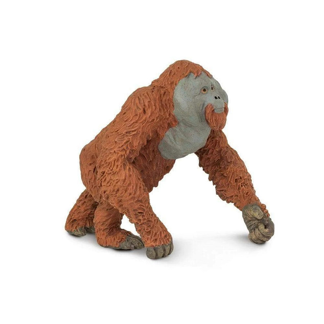 Safari® Orangutan