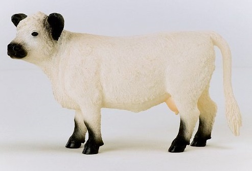 Schleich Gallowayská krava