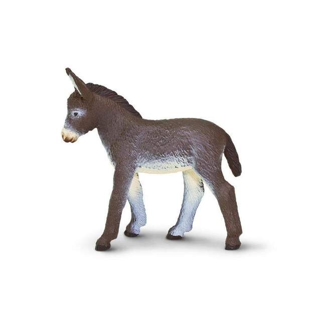 Safari® Mláďa osla