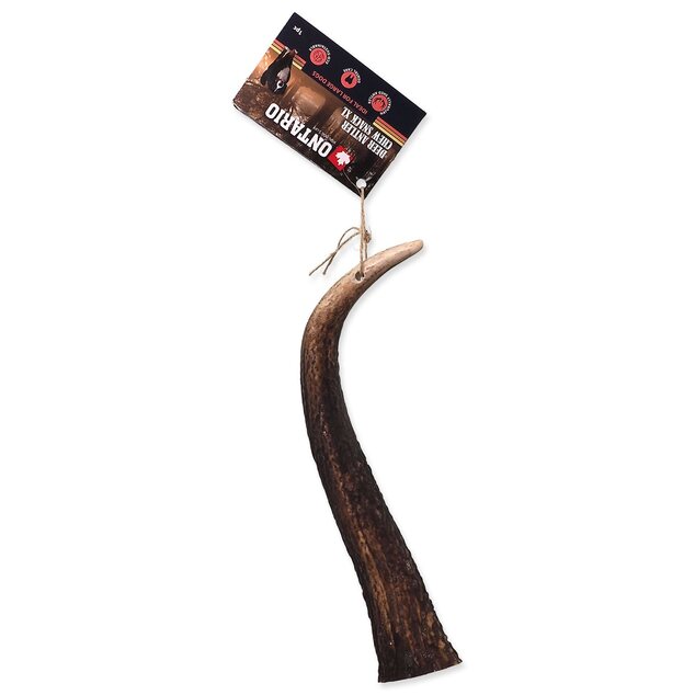 Pochúťka Paroh jeleň XL