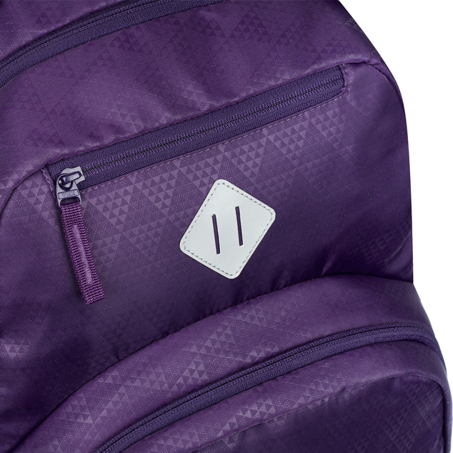 BAAGL Školski ruksak Coolmate Plum