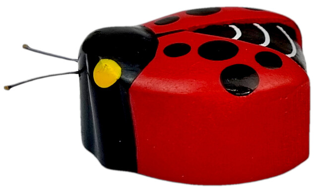2Kids Toys Drevená magnetka veľká Lienka