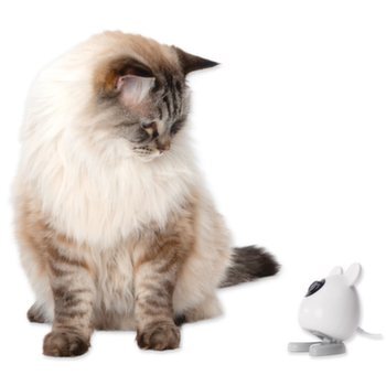 CA Pixi Smart Mouse Camera