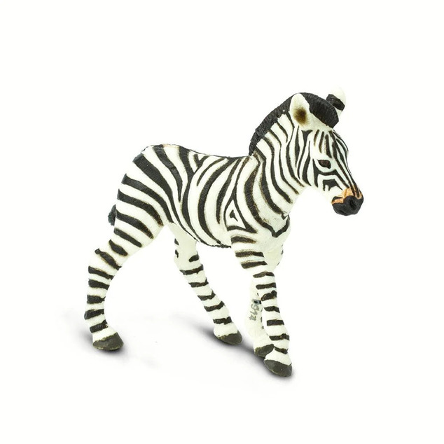 Safari® Mláďa zebry