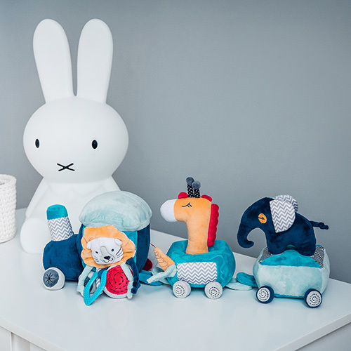 BABYONO Jouet éducatif Safari train 0m+