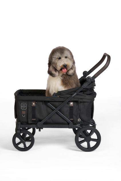 FIKAGO Kinderwagen Kross Schwarz
