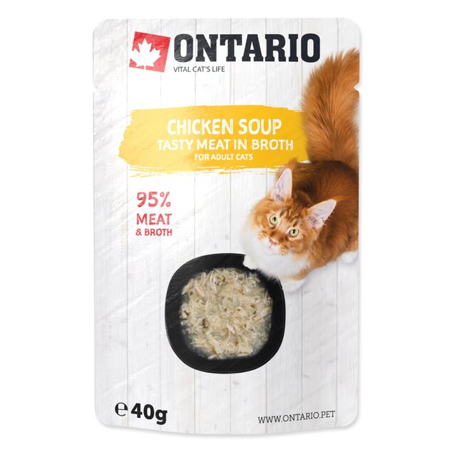 Polievka Ontario kura 40g