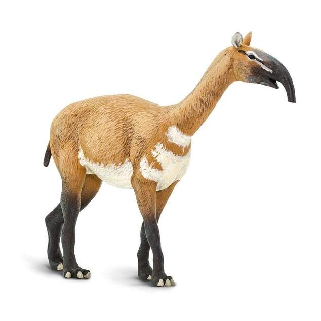 Safari® Macrauchenia