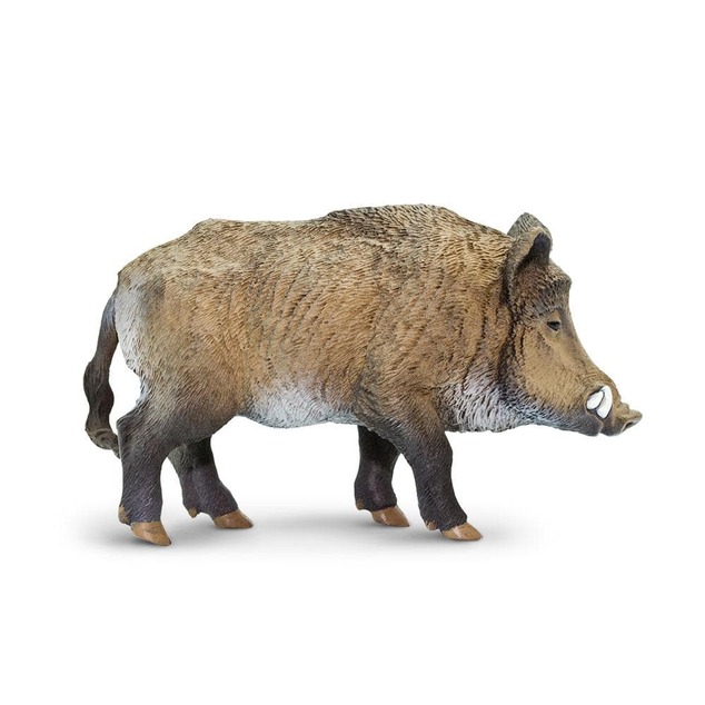 Safari® Diviak lesný