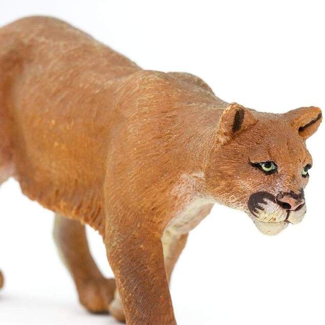 Safari® Puma