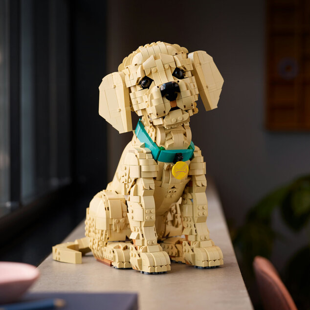 LEGO® Icons 11384 Šteňa zlatého retrievera