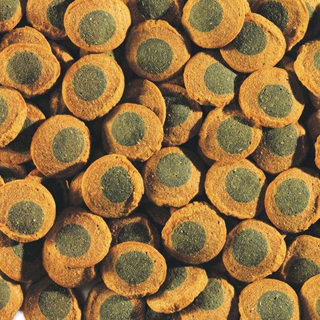 Feed Tetra Pleco Spirulina Wafers bag 15g
