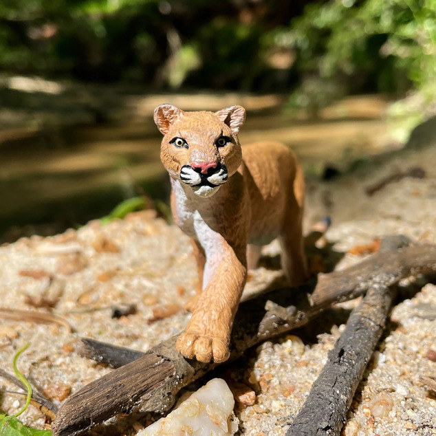 Safari® Amerikanischer Puma