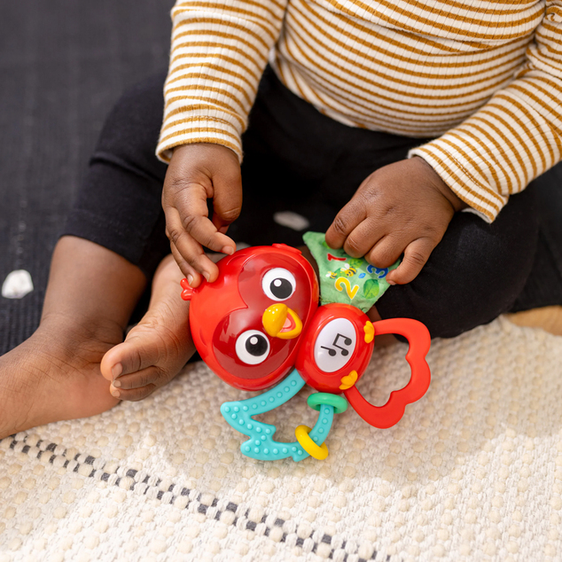 BABY EINSTEIN Igrača glasbena senzorična Roxy's Bright Flight™ 3m+