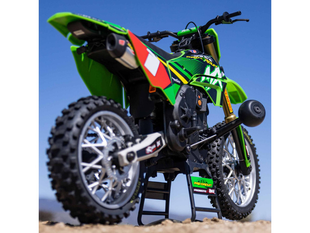 Losi Promoto-MX 1:4 RTR Pro Circuit