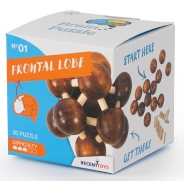RECENTTOYS Brain Puzzle 1 - čelný lalok