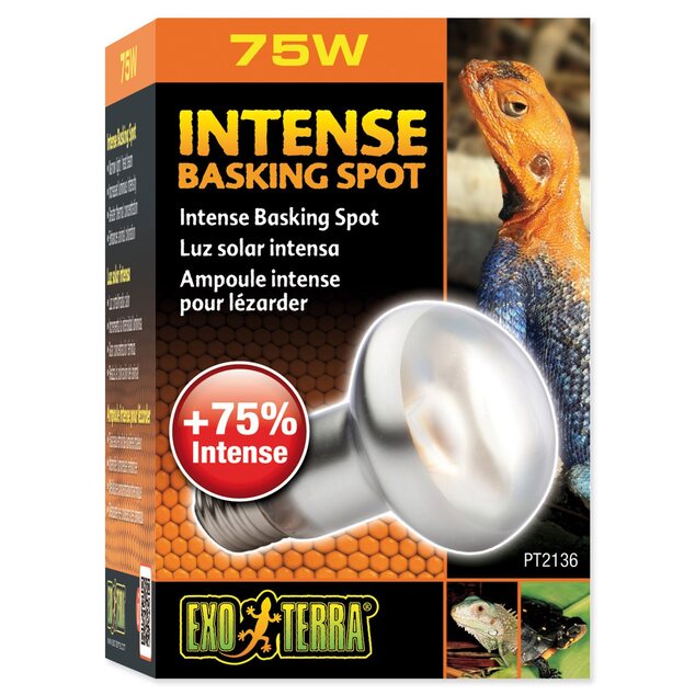 Žiarovka Exo Terra Intense Basking Spot 75W