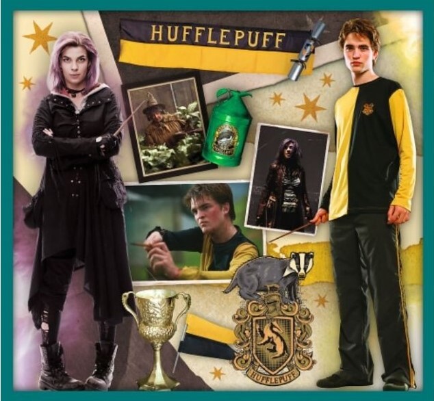 Trefl Puzzle 10v1 -  Vo svete Harryho Pottera