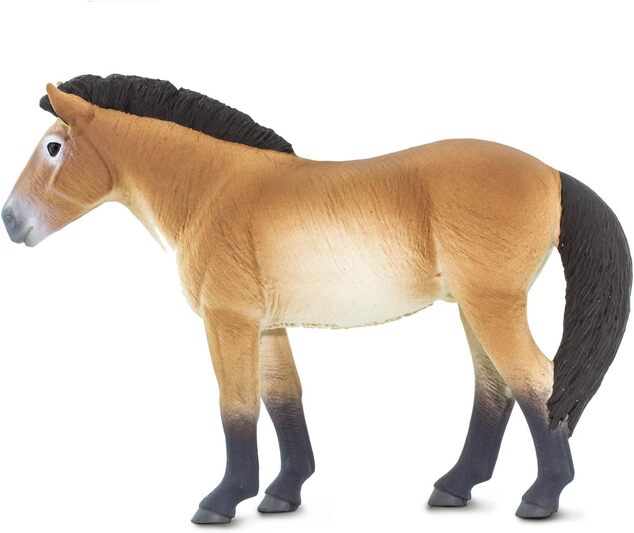 Safari® Kôň Przewalského