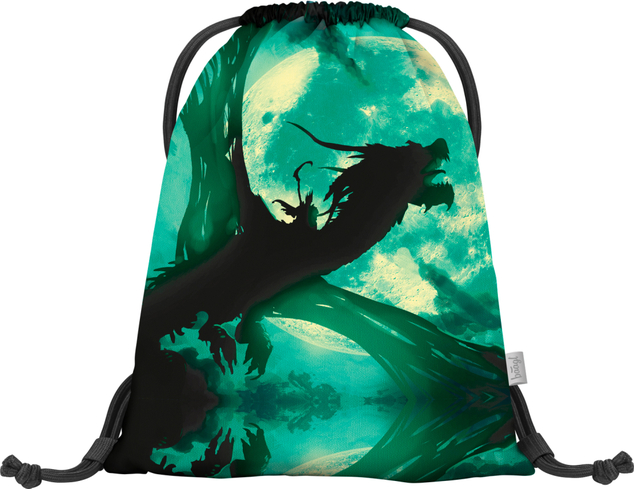 BAAGL SADA 3 Ergo Drak: Aktentasche, Federmäppchen, Tasche