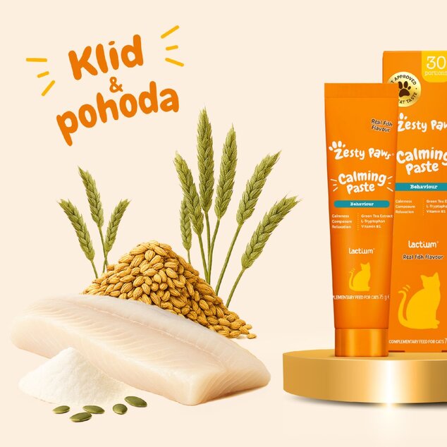 Zesty Paws Calming Paste (75 g) – funkčný doplnok stravy pre mačky na pokoj a pohodu