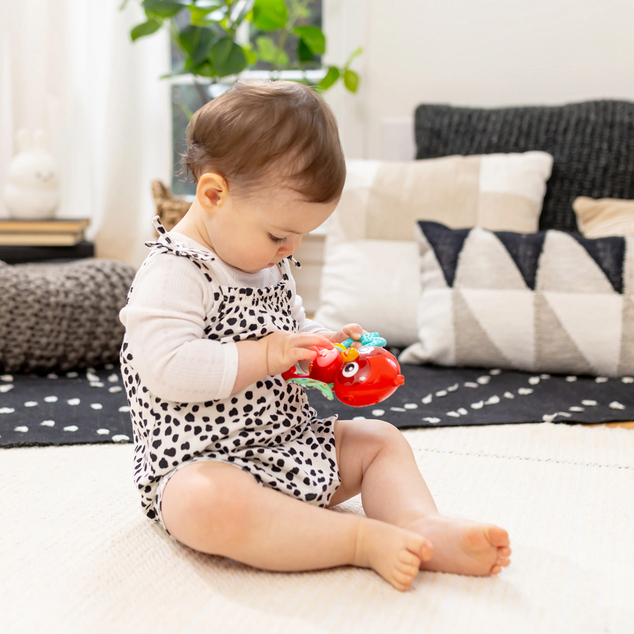 BABY EINSTEIN Igrača glasbena senzorična Roxy's Bright Flight™ 3m+
