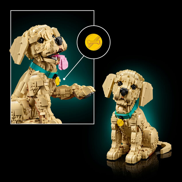 LEGO® Icons 11384 Šteňa zlatého retrievera