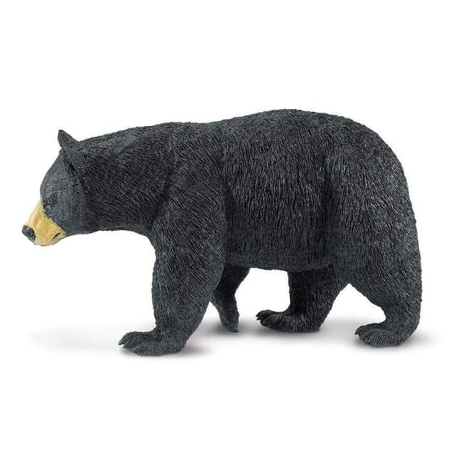 Safari® Medveď čierny