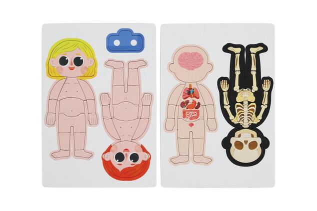 Puzzle magnetico corpo umano