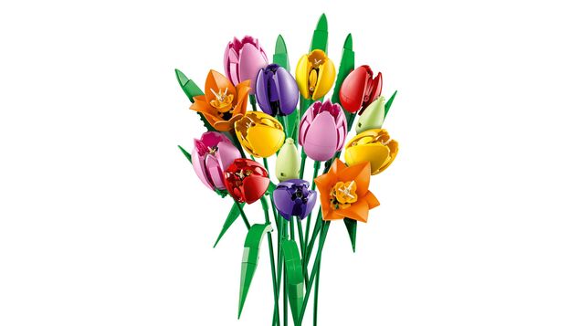 LEGO® Botanicals 11501 Kytica tulipánov