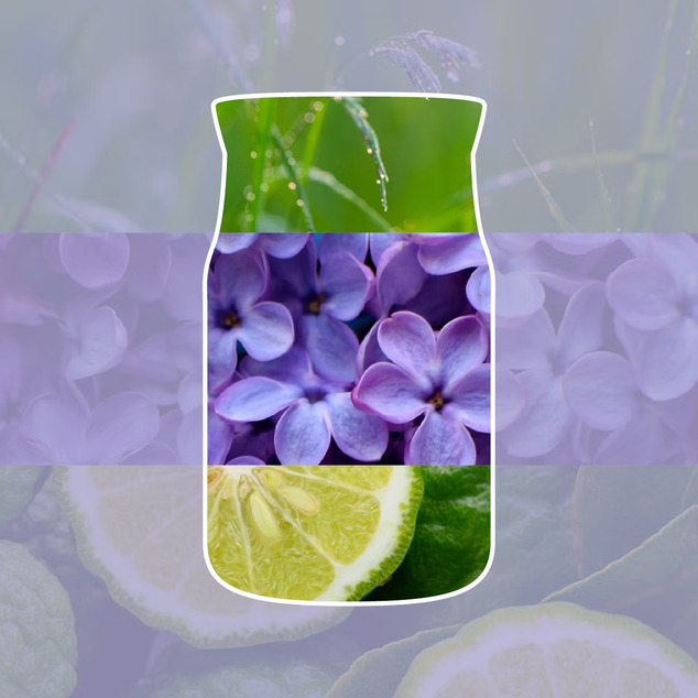 YC Signature Kerze Groß Lilac Blossoms