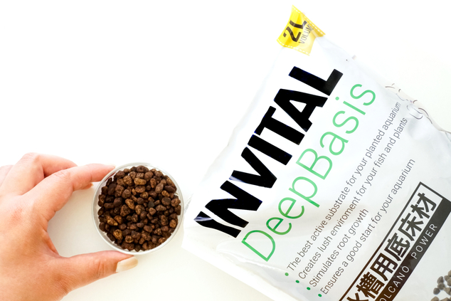 INVITAL DeepBasis 2l