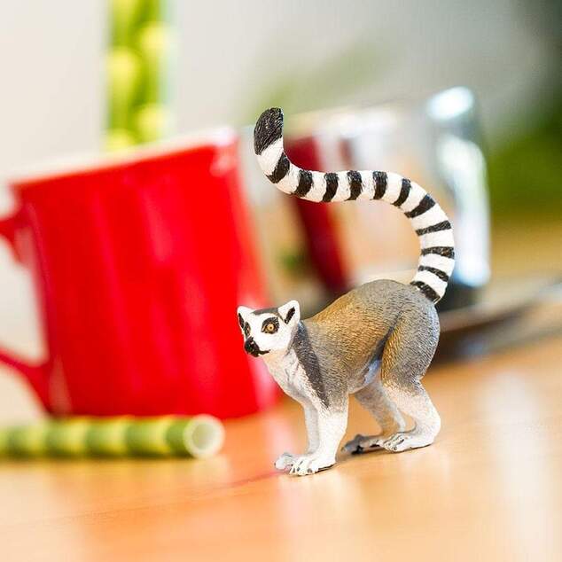 Safari® Lemure